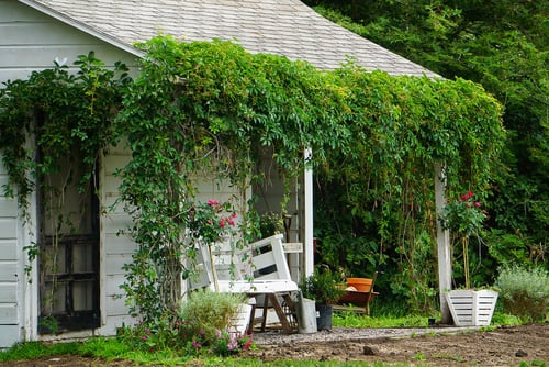 Thelma's summer kitchen