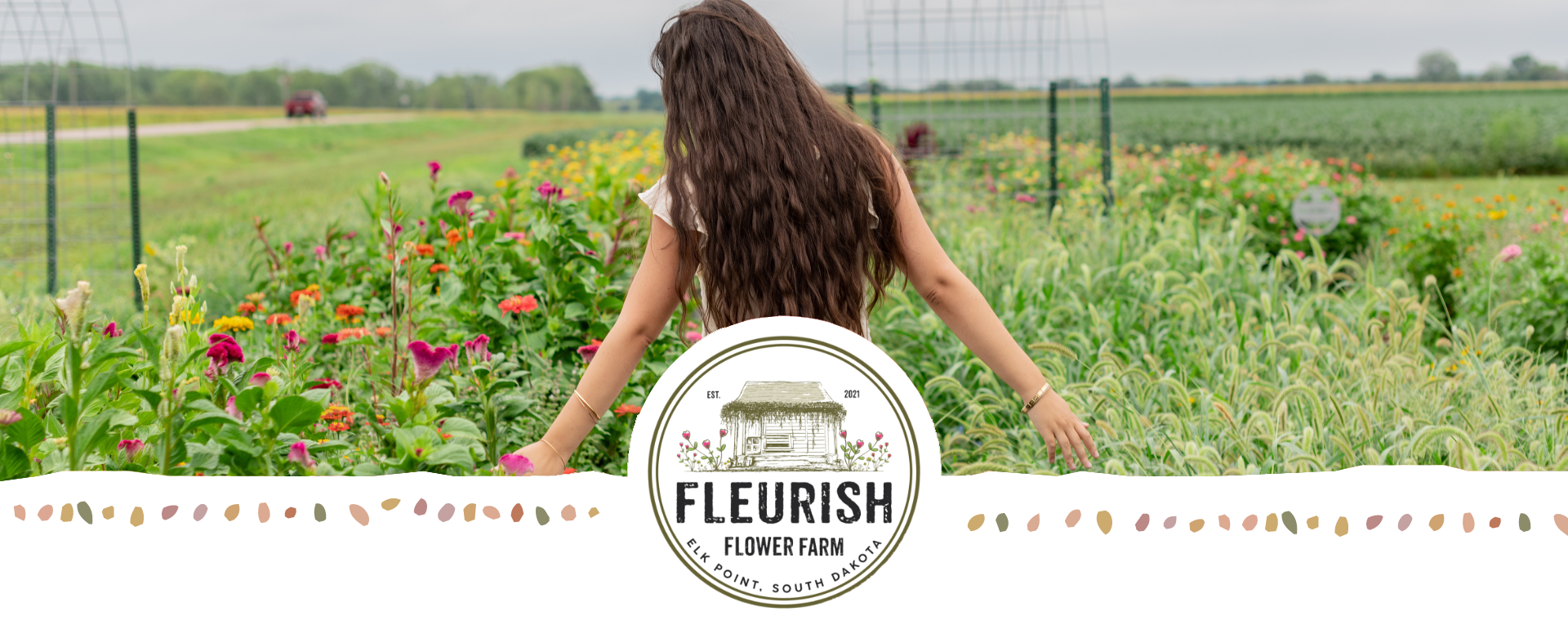A young adult female with long brown hair walking down the aisle at Fleurish Flower Farm. Her back is to the camera and her hands are outstretched touching the flowers.