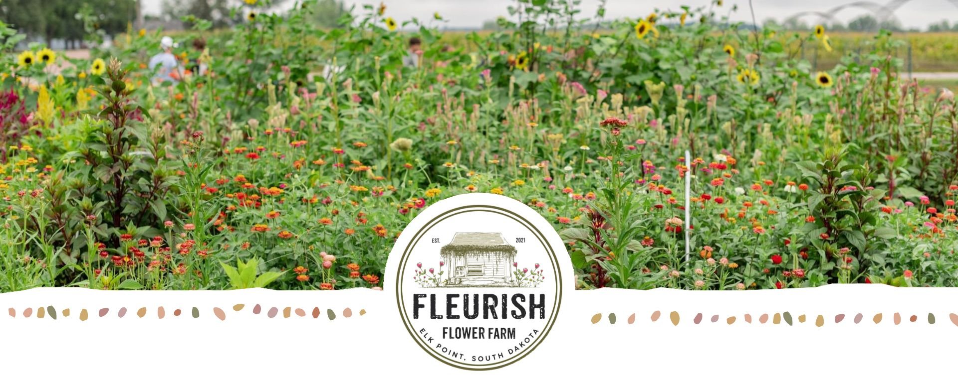 Fleurish Flower Farm, image of wildflowers growing.