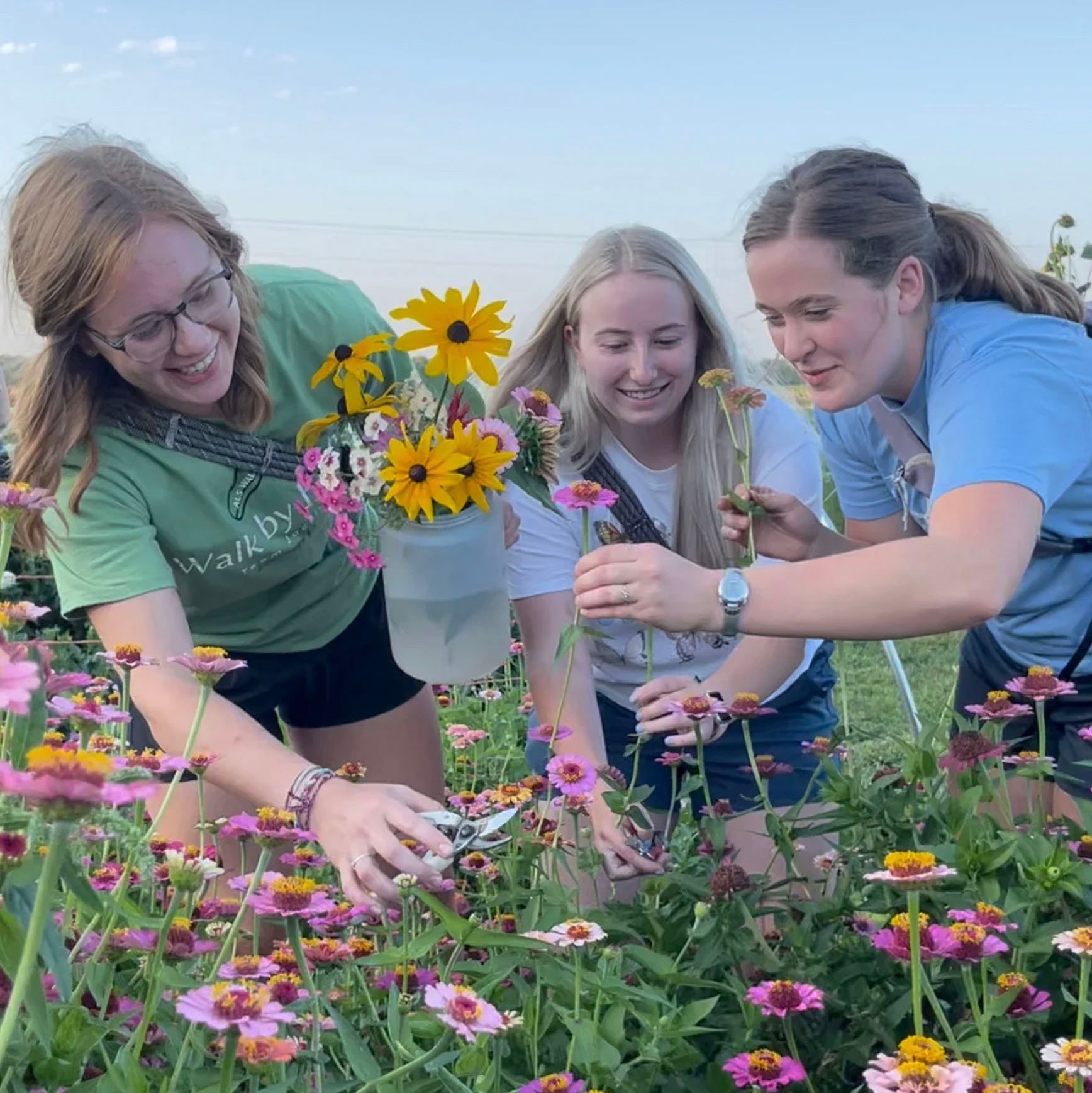 Three young adult females at a You-Pick event picking flowers for their container.